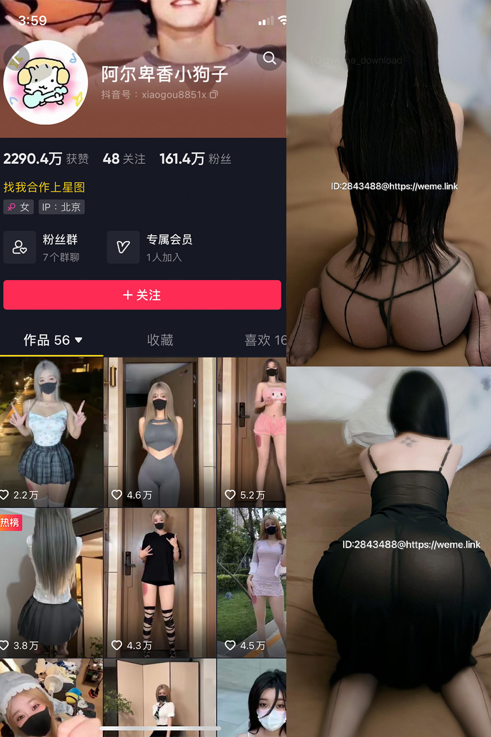阿尔卑香小狗子 微密圈 NO.057期 更新日期：2024.9.3