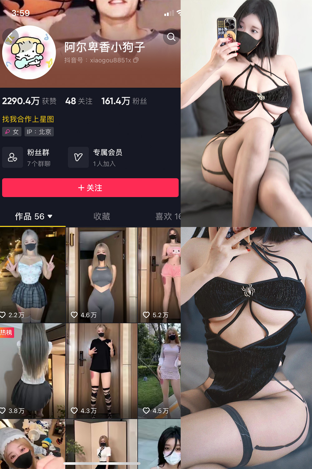 阿尔卑香小狗子 微密圈 NO.046期 更新日期：2024.6.9