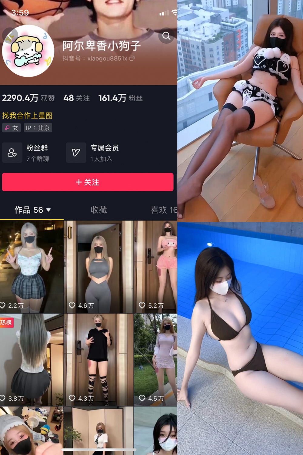 阿尔卑香小狗子 微密圈 | 觅圈 NO.062期 更新日期：2025.5.22