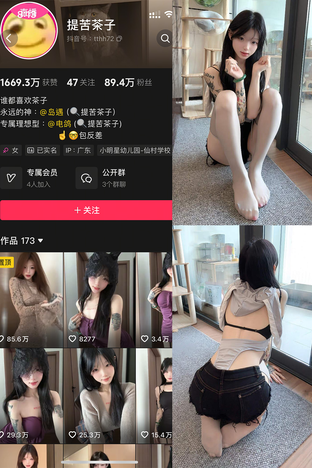 提苦茶子 岛遇 NO.004期 更新日期：2025.7.4